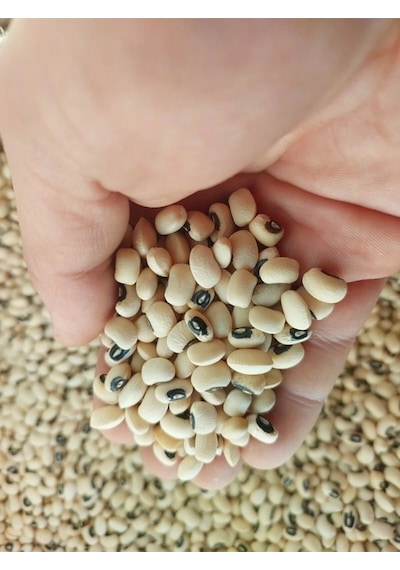 Börülce 3 Kg Köy Mahsulu