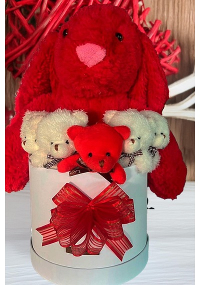 Özel Kutuda, Aşk Temalı Peluş Hediye Kutusu Kırmızı Jellycat Tavşan & 5 Mini Ayıcık Özel Tasarım
