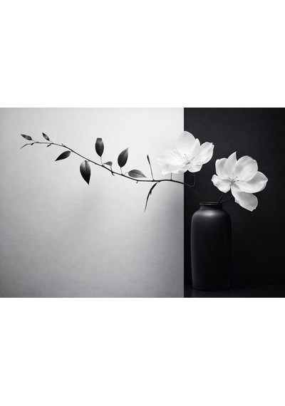 Siyah Beyaz Çiçekli Minimal Kanvas Tablo