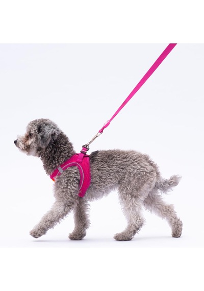 Fuşya Leash Kedi Köpek Sevk & Gezdirme Kayışı Köpek Uzatma Tasması Fuşya