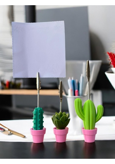 3 Model Pembe Saksılı Kaktüs Fotoğraf Not Tutacak Seti Ofis Masası Hediyelik Tutucu Pembe Yeşil