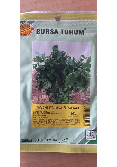 Kolukısa Tarım İri Yapraklı Maydanoz Tohumu