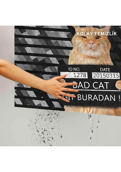 Kedi Köpek Komik Tasarımlı Dekoratif Kapı Önü Paspas, Dış Mekan/ev İçi/banyo/mutfak/yatak Odası/giriş Paspas Diğer