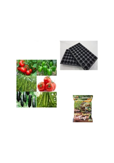 Çeşitli Sebze 9 Farklı Çeşit Sebze Tohumu 60 Tohum+abant Torf 5 Lt