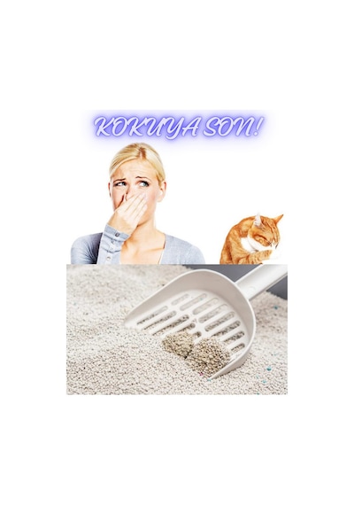Purecanpati 4'lü Kedi Kumu Koku Giderici Lavanta