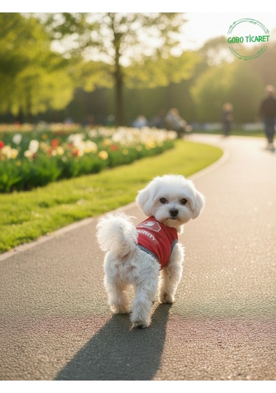 Kırmızı Stop Security Güvenlik Baskılı Kedi Ve Köpek Kıyafeti Tişörtü Elbisesi Xsmall/xs/beden 0