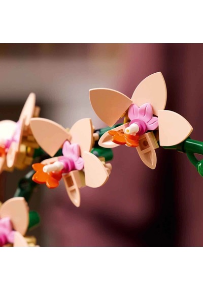 Botanicals Mini Orkide 10343 Standart