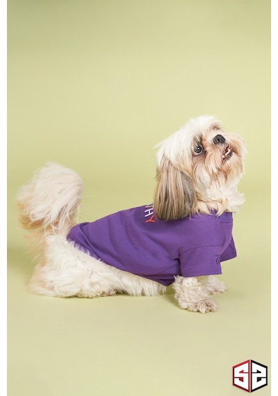 Salya Store Yeni Pou Serisi Empathy Köpek T-shirt Köpek Kıyafeti