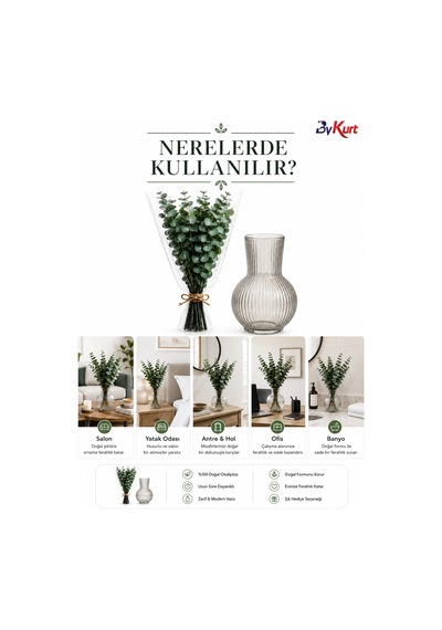 Dekoratif Cam Vazo Ve Doğal Şoklanmış Okaliptus Demeti Seti Şeffaf