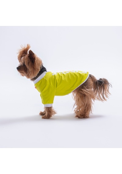 Yellow-sarı Yourself Love Sweat Kedi Köpek Sweati - Kedi Köpek Kıyafeti