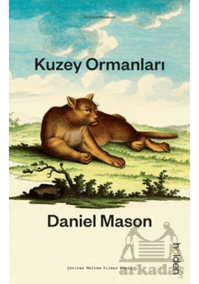 Kuzey Ormanları Holden Kitap Daniel Mason