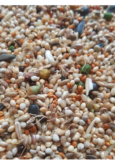 Sultan Papağani Yemi̇ 500 Gr