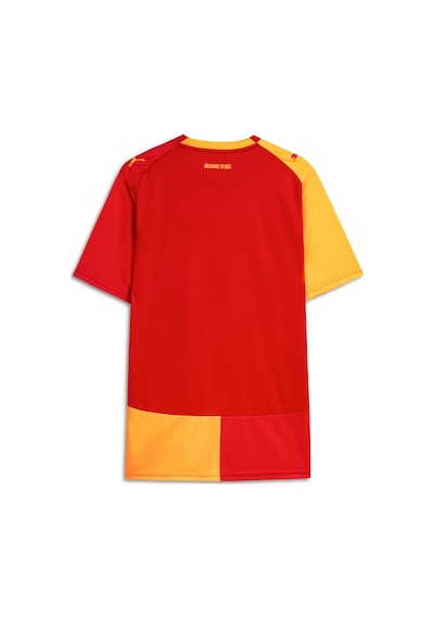 Puma Galatasaray 26/27 Erkek İç Saha Forması 784991 01 Kırmızı