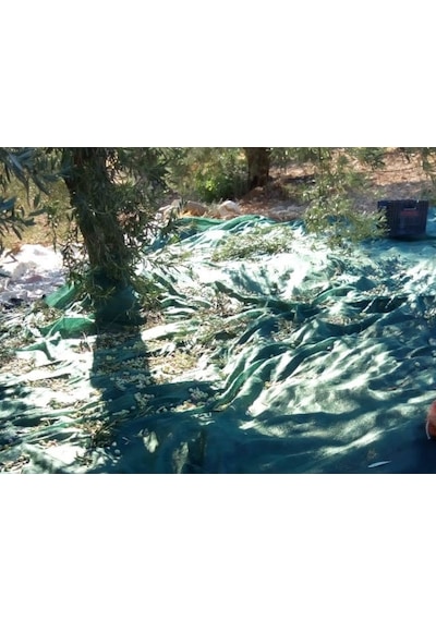 Morilu Zeytin Toplama Filesi Sergenlik Zeytin Yaygısı Yüzde 75'lik Zeytin Filesi Toplama Örtüsü