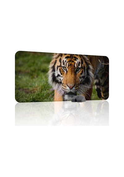 Karadeniz Kaplanı Kaymaz Dikişli Kauçuk Oyuncu Mousepad V4 - 90x40 Xxl Gaming Mouse Pad Fare Altlığı