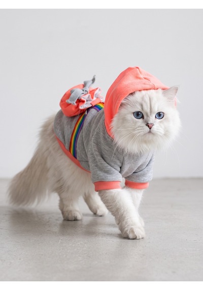 Kemique Rainbow Kedi Sweatshirt Kapüşonlu Gökkuşağı Detaylı Kedi Kıyafeti Kedi Hoodie Kemique Rainbow Kedi Sweatshirt Kapüşonlu Gökkuşağı Detaylı Kedi Kıyafeti Kedi Hoodie