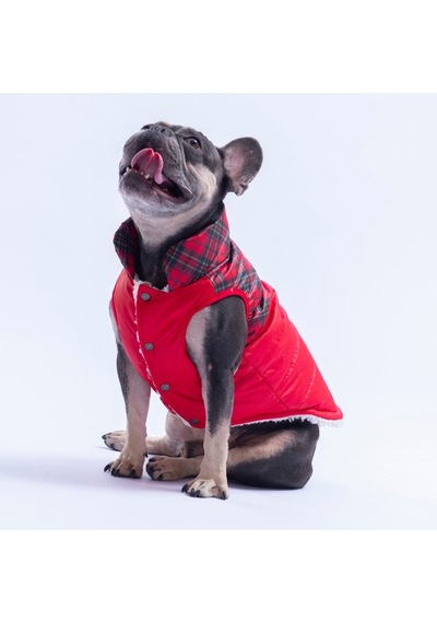 Kırmızı Plaid Ekose Desen Yelek Köpek Yeleği Köpek Kıyafeti Köpek Yağmurluk