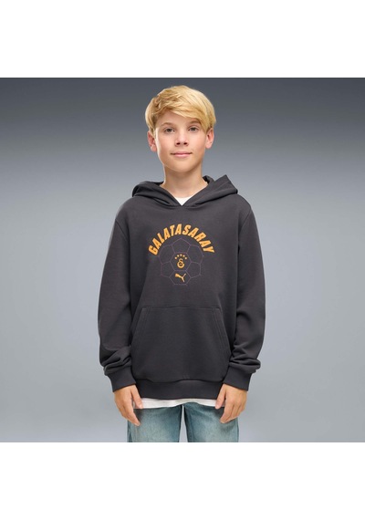 Puma Galatasaray Ftblculture Genç Kapüşonlu Sweatshırt 787646 19 Gri