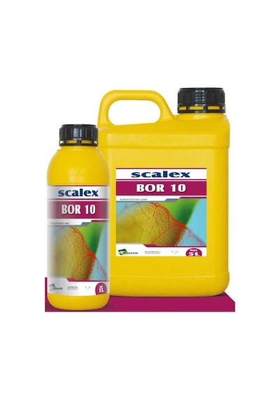 Scalex Bor 10 1 Lt 1 LT