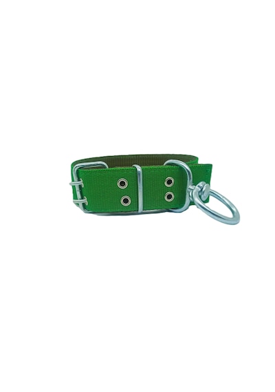 İri Ve Büyük Cinsler İçin Kanğal Köpek Tasması 80x5 Cm Yeşil