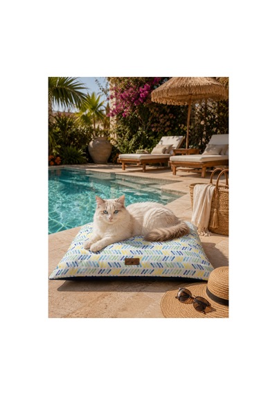 Kedi Ve Köpek Yer Minderi Üst Kalite Yıkanabilir Kılıflı Fermuarlı %100 Boncuk Elyaf Kaydırmaz Taban Kedi Ve Köpek Yatağı Çok Renkli 1604640494 Kedi Ve Köpek Yer Minderi Üst Kalite Yıkanabilir Kılıflı Fermuarlı %100 Boncuk Elyaf Kaydırmaz Taban Kedi Ve Köpek Yatağı Çok Renkli 1604640494