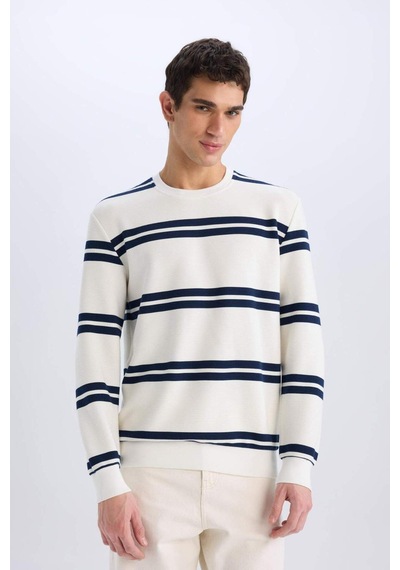 DeFacto Regular Fit Bisiklet Yaka Dokulu Sweatshirt D7595AX25SPWT32