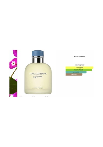 Light Blue Pour Homme Byd&g Edp 75ml Erkek Parfüm Genel Beğeniye Tam Olarak Açık Diğer