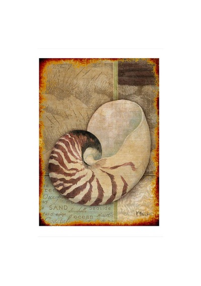 Bedeko Deniz Kabuğu Desenli Mdf Tablo 50 Cm X 70 Cm