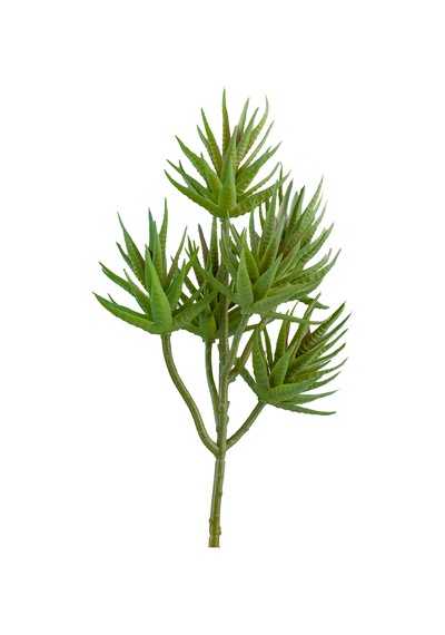 Yapay İğne Yapraklı Sukulent Demeti Mat Açık Yeşil 34 Cm-10922
