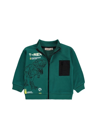 Silversun Kids Silversun T-rex Dinozor Baskılı 2-7 Yaş Hırka - Yeşil Petrol
