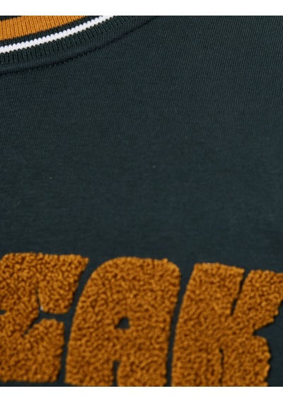 Koton Uzun Kollu Şerit Detaylı Şardonlu Bisiklet Yaka Nakışlı Sweatshirt Yeşil 6wam70026mk Yeşil Koton Uzun Kollu Şerit Detaylı Şardonlu Bisiklet Yaka Nakışlı Sweatshirt Yeşil 6wam70026mk Yeşil