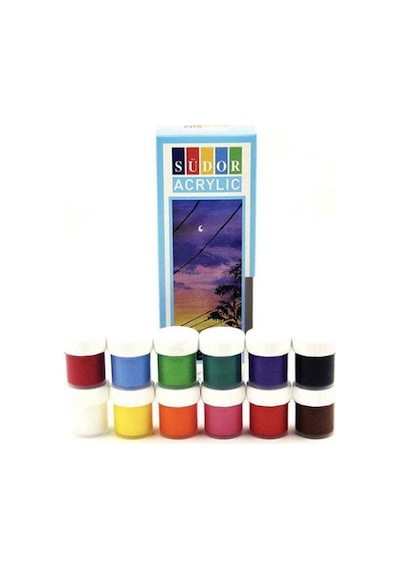 12 Renk Akrilik Boya Seti 35x50 Tuval İpek Fırça Seti 12x20 Ml Çok Renkli