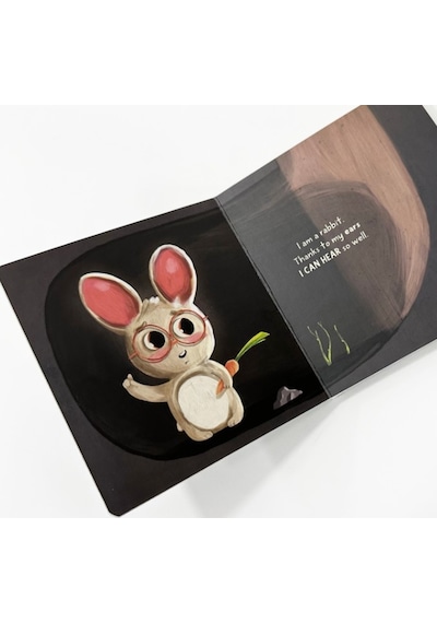 Sincap Kitap Senses - Baby University First Concepts Stories 2