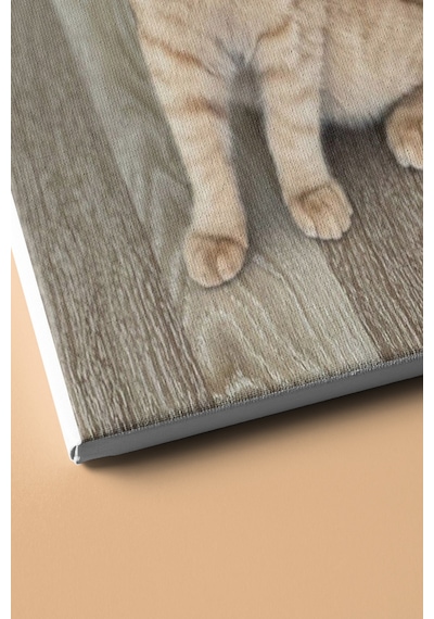 Webstyle Sayılarla Boyama Seti Kasnaklı Kedi Bakışlar 50x65 Cm