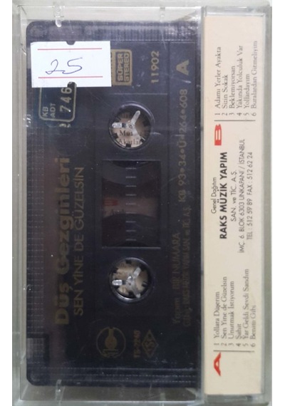 Plak Değildir Kaset Tir Düş Gezginleri Sen Yine De Güzelsin Kas