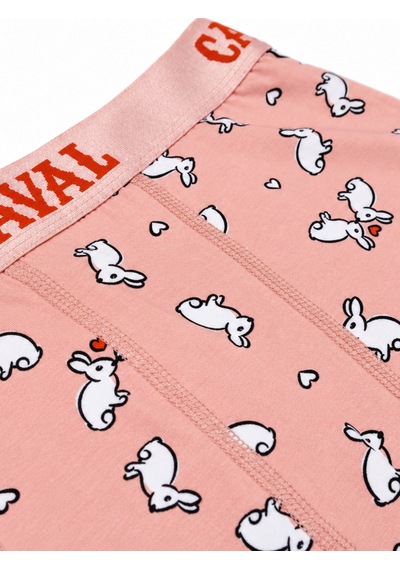 Carnaval Socks Tavşan Desenli Erkek Boxer Pamuklu Likralı Parlak Lastikli Kutulu Pudra Çoklu