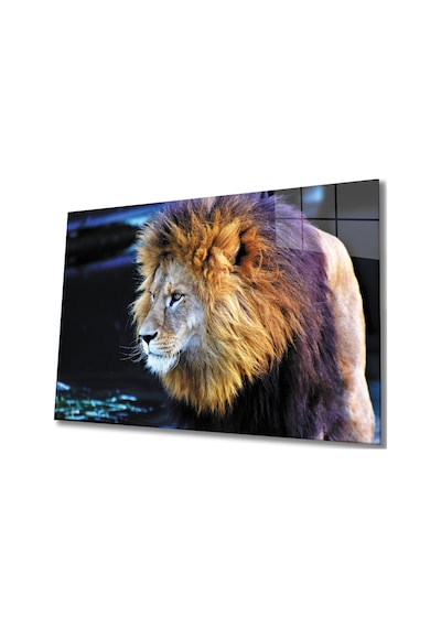Aslan 2 Cam Tablo