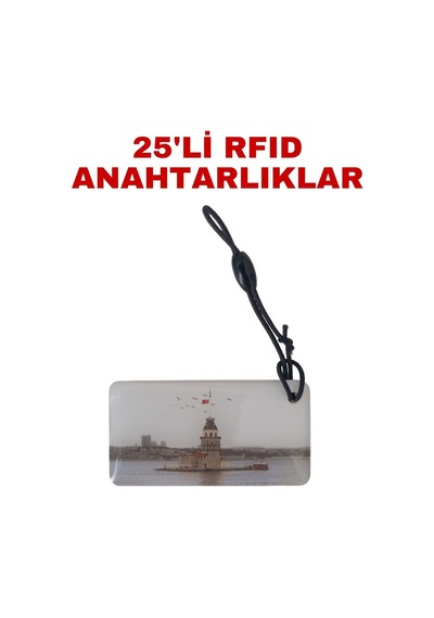 Sr-604 K Yazılabilir Ve Kopyalanabilir Rfıd Proximity Anahtarlık 125 Khz Kız Kulesi Tasarımlı Keyfob 25 Adet