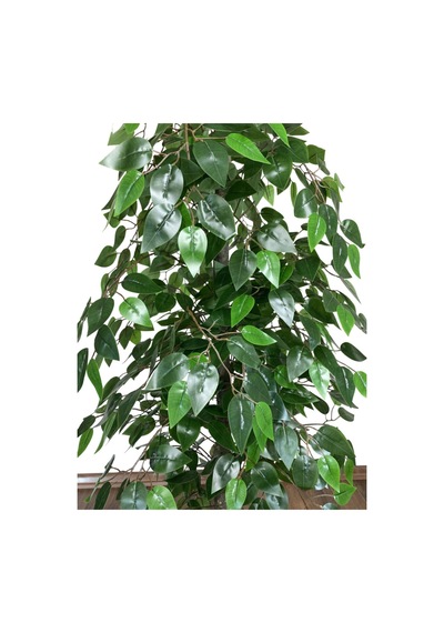 Yapay Benjami N Ağacı 160 Cm Beton Saksıda Beyaz