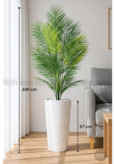 Biçiçek 160 Cm Areka Ağaci 24 Yapraklı Beyaz Kumsal Saksıda