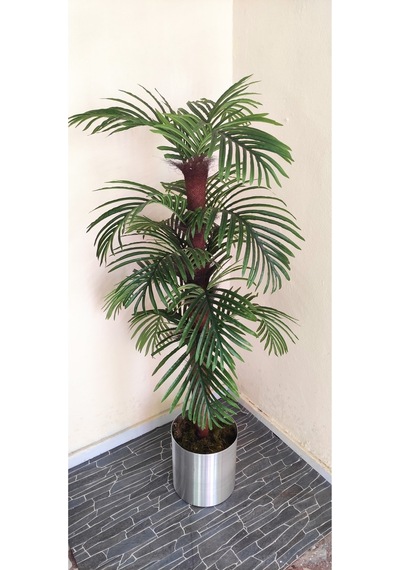 Rüzgar Çiçekçilik 150 Cm Palmiye Ağacı Yeşil