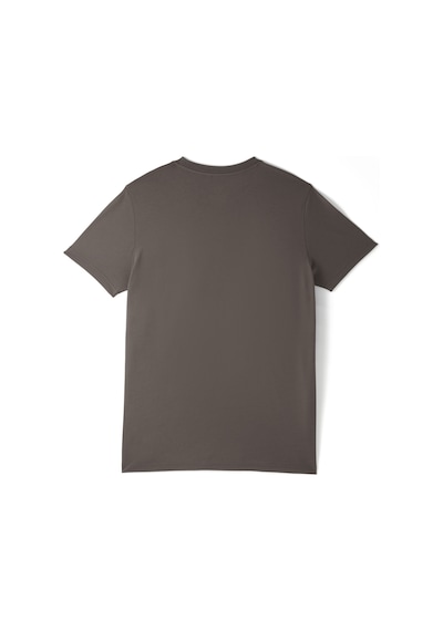 Gsstore Galatasaray 5 Yıldız T-shirt E251393 Antrasit