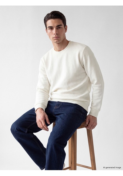 Lcwaıkıkı Classic Beyaz Bisiklet Yaka Desenli Erkek Sweatshirt
