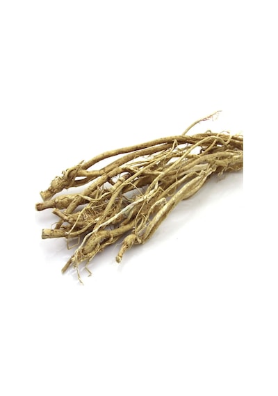 Çin Geveni 100 Gr Geven Otu Astragalus