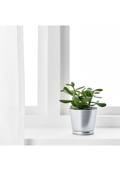 Galvanizli Gümüş Renk Saksı Bitki Çiçek Saksısı 9 cm MeridyenDukkan Çelik