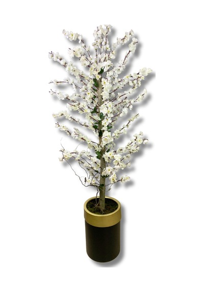 Cihan Çiçekçilik Beyaz Bahar Dalı 180 Cm 30x25 Gold Kemerli Siyah Saksı Beyaz