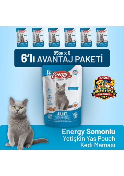 Somonlu Yetişkin Yaş Kedi Maması 85 G - 6 Adet