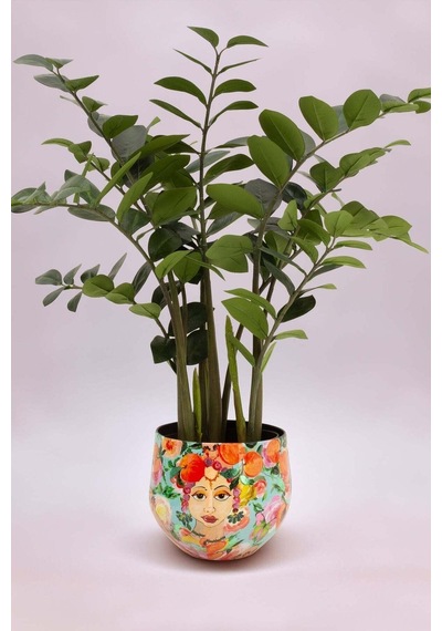 Blooming Namaste L Saksı