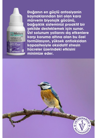 Mixtura Pharma Bird Sambucus