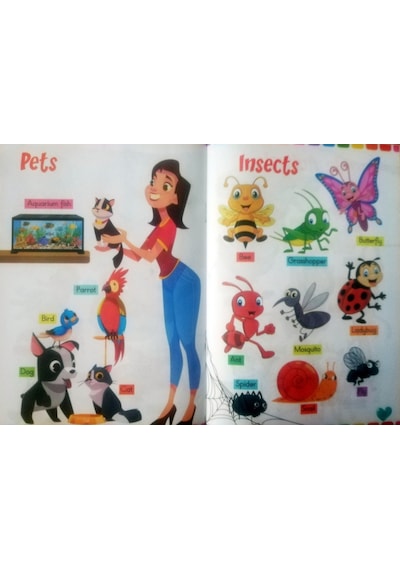 Okul Öncesi Matematik Ingilizce Çizgi Çalışması ve Kodlama Eğiti
